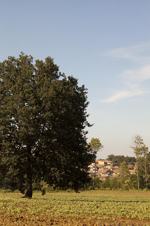 Agriturismo Creta Rossa Torre di Ruggiero Bagian luar foto